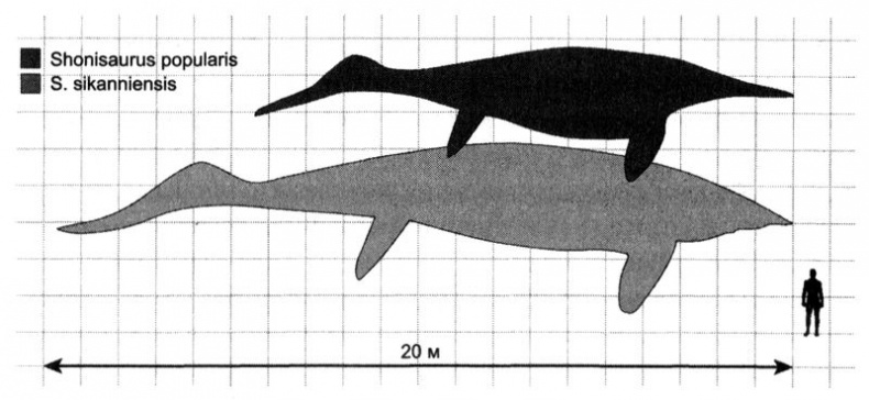 Иллюстрация к книге — Отпечатки жизни. 25 шагов эволюции и вся история планеты [img_105.jpg]