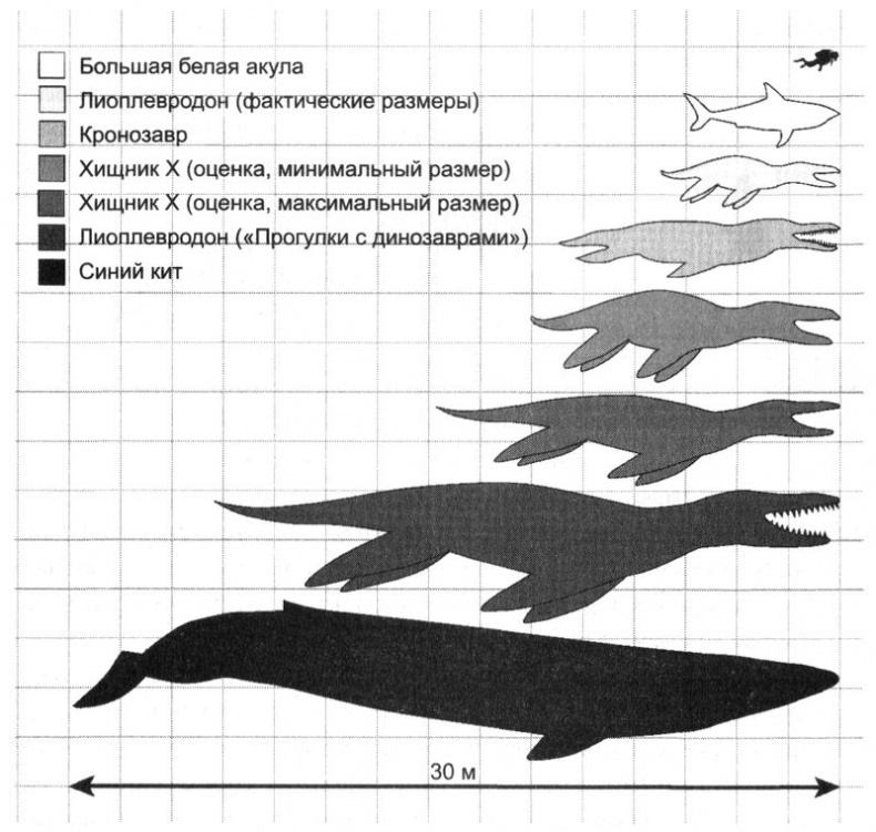 Иллюстрация к книге — Отпечатки жизни. 25 шагов эволюции и вся история планеты [img_110.jpg]
