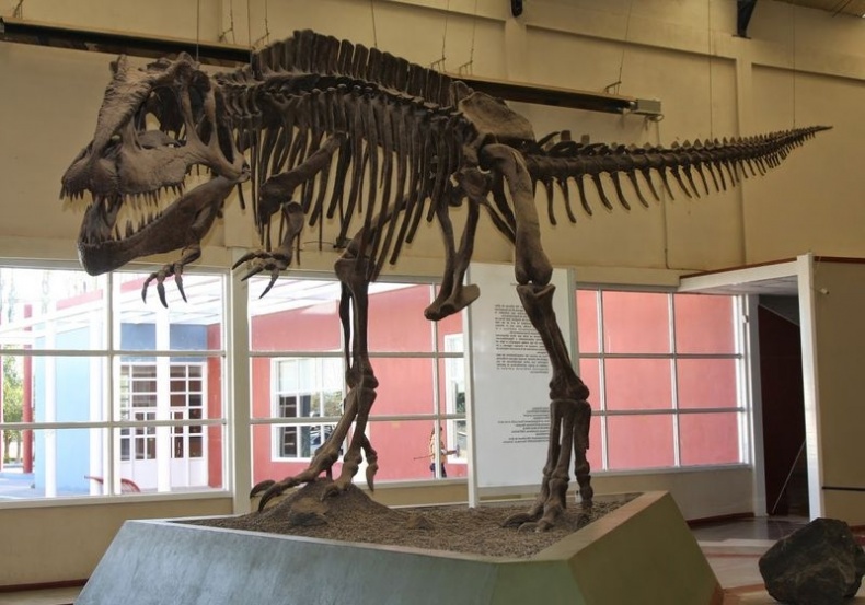 Иллюстрация к книге — Отпечатки жизни. 25 шагов эволюции и вся история планеты [img_122.jpg]