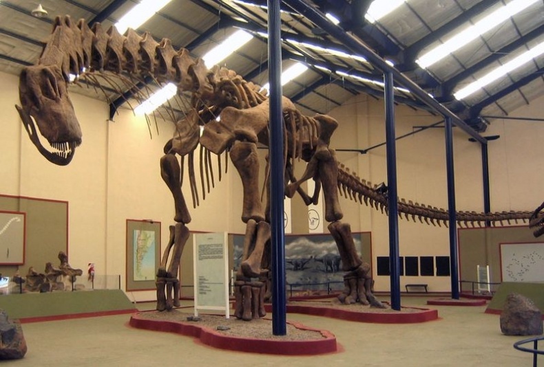 Иллюстрация к книге — Отпечатки жизни. 25 шагов эволюции и вся история планеты [img_129.jpg]