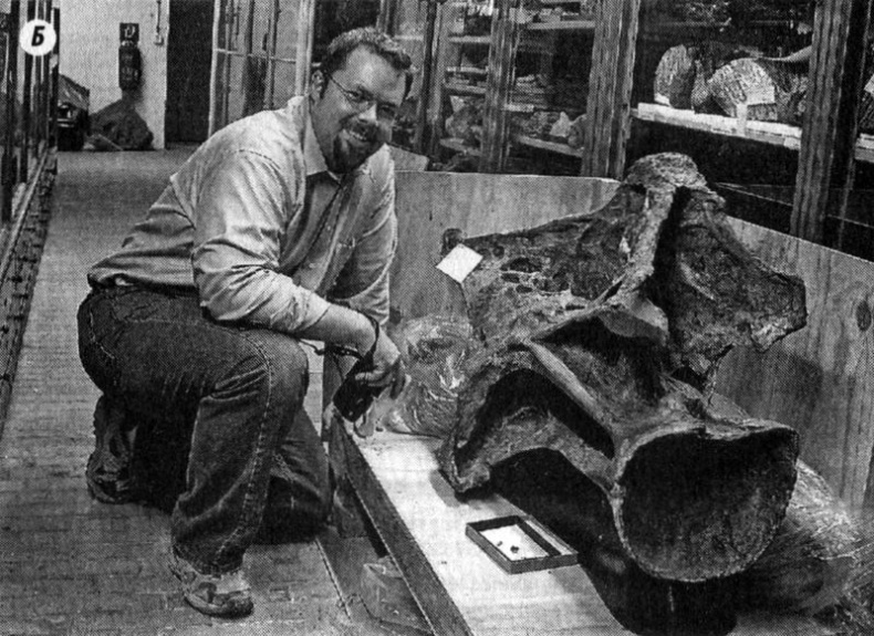 Иллюстрация к книге — Отпечатки жизни. 25 шагов эволюции и вся история планеты [img_131.jpg]