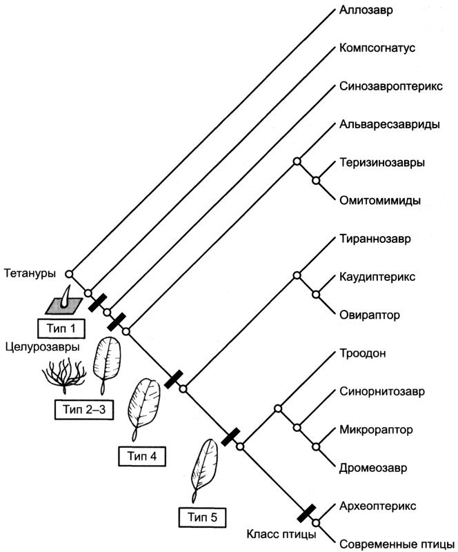 Иллюстрация к книге — Отпечатки жизни. 25 шагов эволюции и вся история планеты [img_138.jpg]