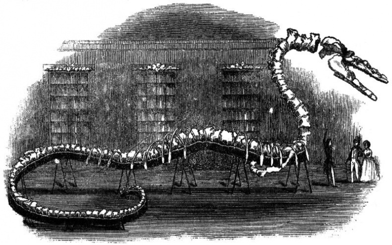 Иллюстрация к книге — Отпечатки жизни. 25 шагов эволюции и вся история планеты [img_153.jpg]