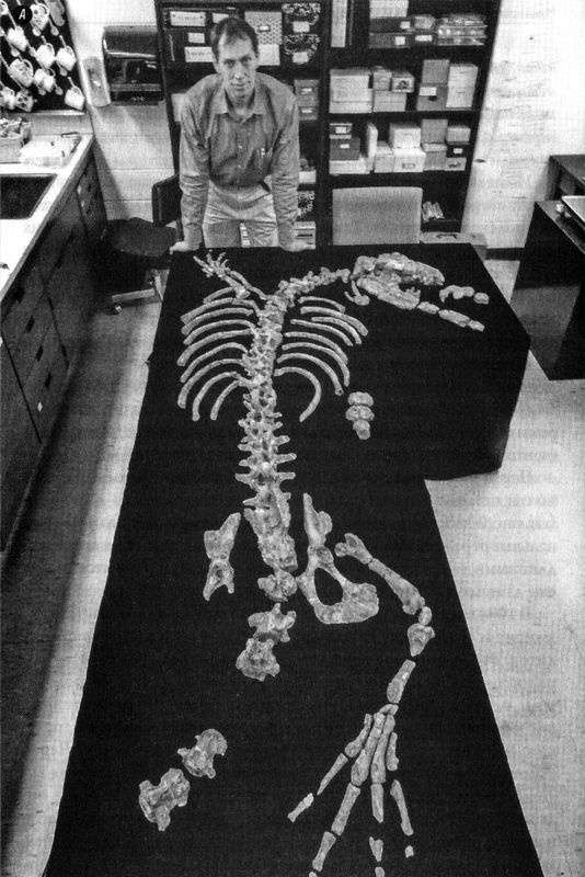 Иллюстрация к книге — Отпечатки жизни. 25 шагов эволюции и вся история планеты [img_156.jpg]