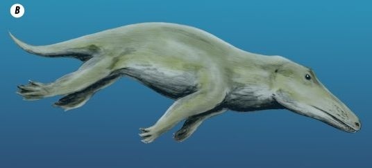 Иллюстрация к книге — Отпечатки жизни. 25 шагов эволюции и вся история планеты [img_158.jpg]