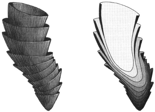 Иллюстрация к книге — Отпечатки жизни. 25 шагов эволюции и вся история планеты [img_16.jpg]