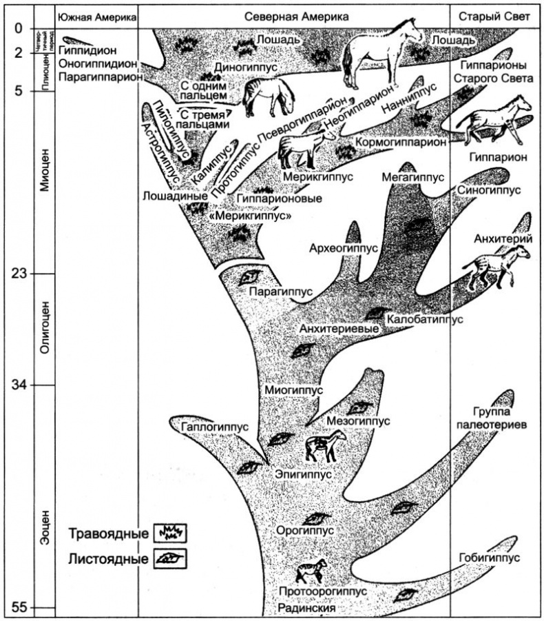 Иллюстрация к книге — Отпечатки жизни. 25 шагов эволюции и вся история планеты [img_172.jpg]