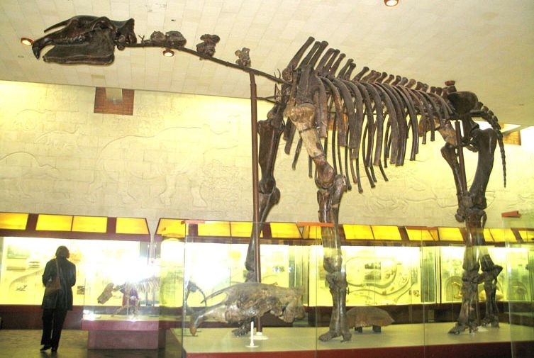 Иллюстрация к книге — Отпечатки жизни. 25 шагов эволюции и вся история планеты [img_177.jpg]