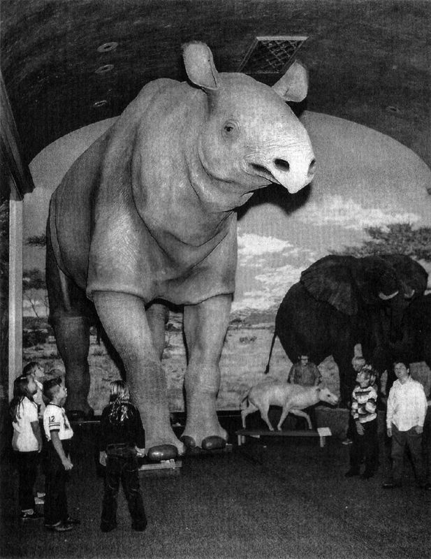 Иллюстрация к книге — Отпечатки жизни. 25 шагов эволюции и вся история планеты [img_178.jpg]