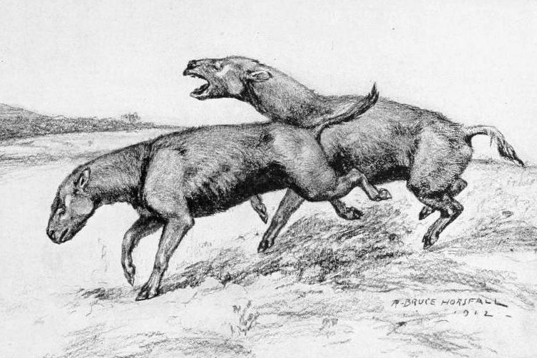 Иллюстрация к книге — Отпечатки жизни. 25 шагов эволюции и вся история планеты [img_180.jpg]