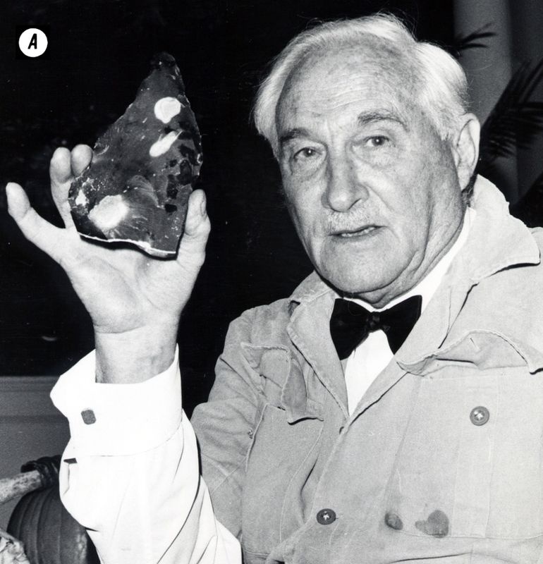 Иллюстрация к книге — Отпечатки жизни. 25 шагов эволюции и вся история планеты [img_190.jpg]