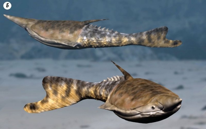 Иллюстрация к книге — Отпечатки жизни. 25 шагов эволюции и вся история планеты [img_51.jpg]