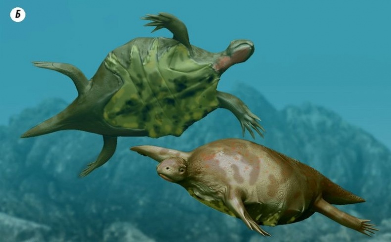 Иллюстрация к книге — Отпечатки жизни. 25 шагов эволюции и вся история планеты [img_84.jpg]