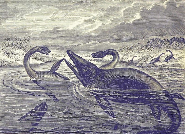 Иллюстрация к книге — Отпечатки жизни. 25 шагов эволюции и вся история планеты [img_98.jpg]