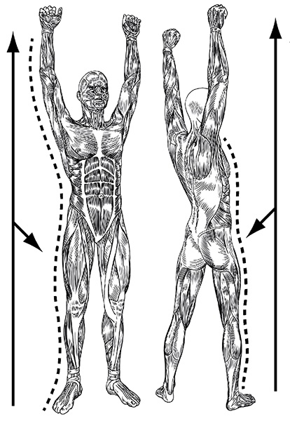 Иллюстрация к книге — 100 лет активной жизни, или Секреты здорового долголетия. 1000 ответов на вопросы, как вернуть здоровье [i_003.jpg]