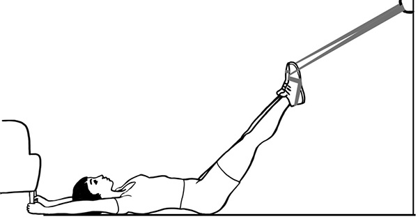 Иллюстрация к книге — 100 лет активной жизни, или Секреты здорового долголетия. 1000 ответов на вопросы, как вернуть здоровье [i_023.jpg]