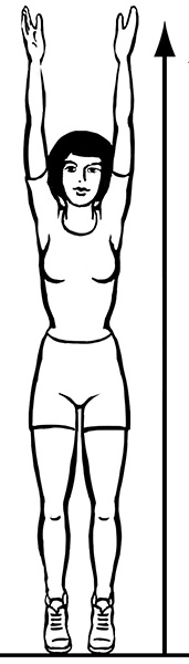 Иллюстрация к книге — 100 лет активной жизни, или Секреты здорового долголетия. 1000 ответов на вопросы, как вернуть здоровье [i_033.jpg]