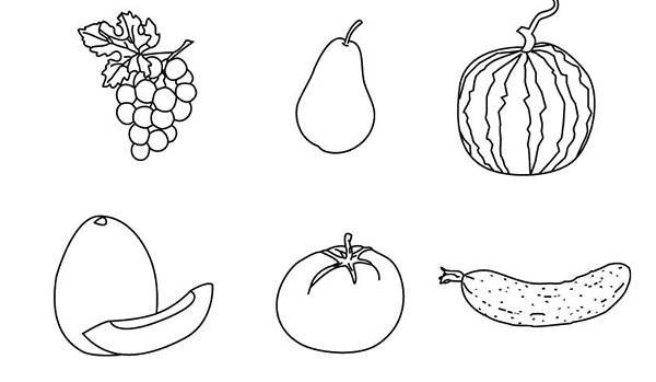 Иллюстрация к книге — 100 лет активной жизни, или Секреты здорового долголетия. 1000 ответов на вопросы, как вернуть здоровье [i_059.jpg]