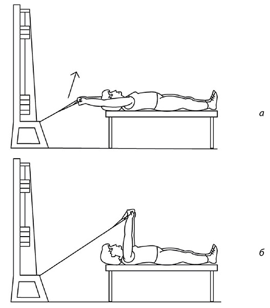 Иллюстрация к книге — 100 лет активной жизни, или Секреты здорового долголетия. 1000 ответов на вопросы, как вернуть здоровье [i_075.jpg]