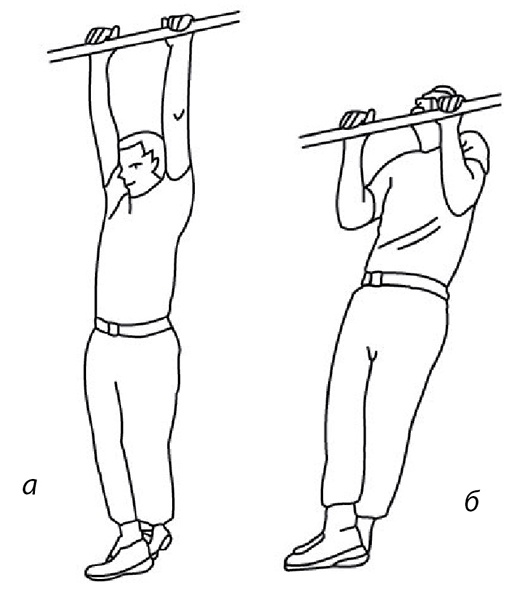 Иллюстрация к книге — 100 лет активной жизни, или Секреты здорового долголетия. 1000 ответов на вопросы, как вернуть здоровье [i_083.jpg]
