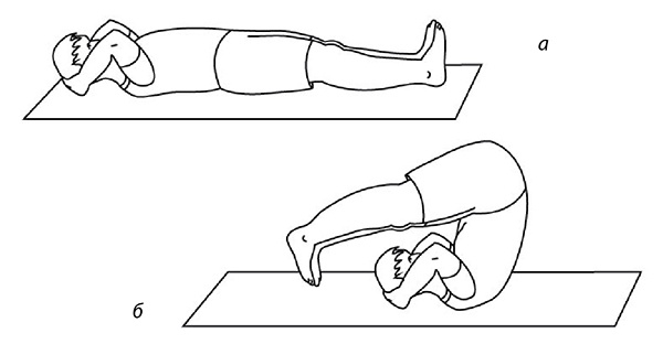 Иллюстрация к книге — 100 лет активной жизни, или Секреты здорового долголетия. 1000 ответов на вопросы, как вернуть здоровье [i_084.jpg]