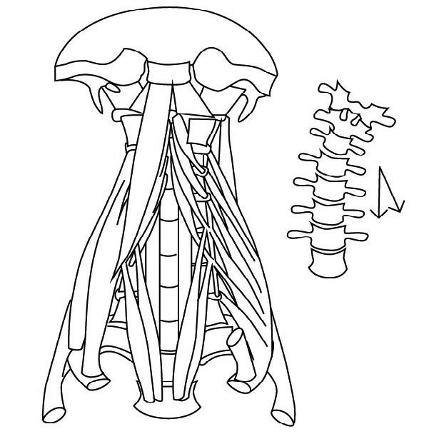 Иллюстрация к книге — 100 лет активной жизни, или Секреты здорового долголетия. 1000 ответов на вопросы, как вернуть здоровье [i_086.jpg]