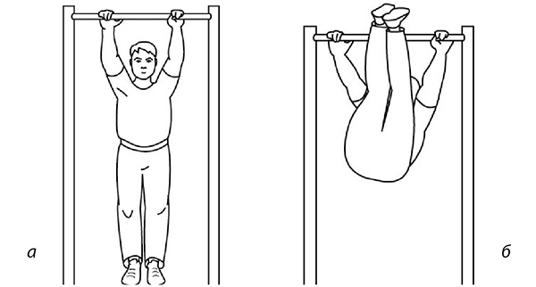 Иллюстрация к книге — 100 лет активной жизни, или Секреты здорового долголетия. 1000 ответов на вопросы, как вернуть здоровье [i_095.jpg]