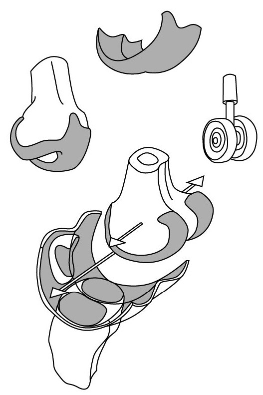 Иллюстрация к книге — 100 лет активной жизни, или Секреты здорового долголетия. 1000 ответов на вопросы, как вернуть здоровье [i_101.jpg]