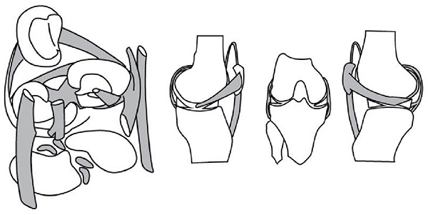 Иллюстрация к книге — 100 лет активной жизни, или Секреты здорового долголетия. 1000 ответов на вопросы, как вернуть здоровье [i_104.jpg]