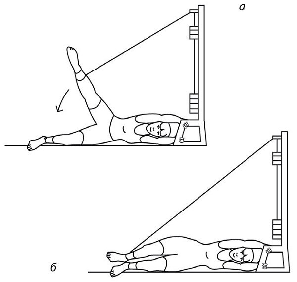 Иллюстрация к книге — 100 лет активной жизни, или Секреты здорового долголетия. 1000 ответов на вопросы, как вернуть здоровье [i_106.jpg]