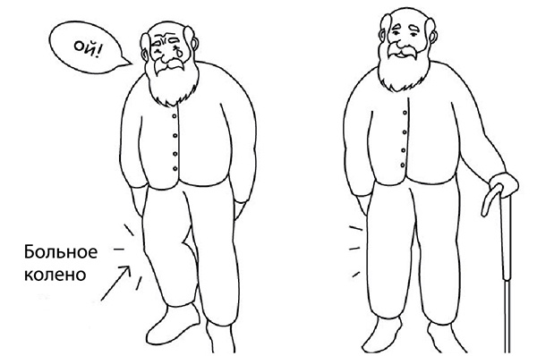 Иллюстрация к книге — 100 лет активной жизни, или Секреты здорового долголетия. 1000 ответов на вопросы, как вернуть здоровье [i_118.jpg]