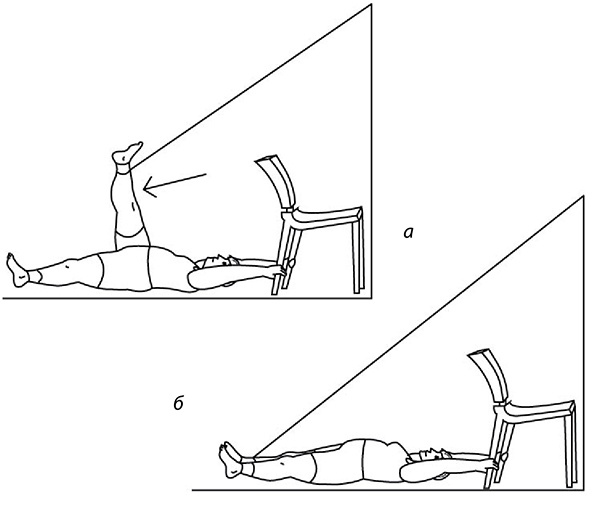 Иллюстрация к книге — 100 лет активной жизни, или Секреты здорового долголетия. 1000 ответов на вопросы, как вернуть здоровье [i_121.jpg]