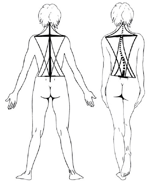 Иллюстрация к книге — 100 лет активной жизни, или Секреты здорового долголетия. 1000 ответов на вопросы, как вернуть здоровье [i_129.jpg]