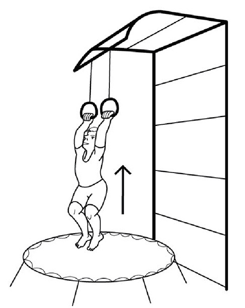 Иллюстрация к книге — 100 лет активной жизни, или Секреты здорового долголетия. 1000 ответов на вопросы, как вернуть здоровье [i_138.jpg]