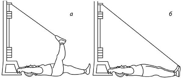 Иллюстрация к книге — 100 лет активной жизни, или Секреты здорового долголетия. 1000 ответов на вопросы, как вернуть здоровье [i_146.jpg]