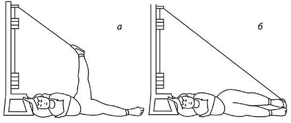 Иллюстрация к книге — 100 лет активной жизни, или Секреты здорового долголетия. 1000 ответов на вопросы, как вернуть здоровье [i_147.jpg]