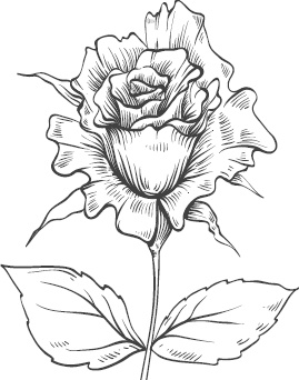 Иллюстрация к книге — Большая энциклопедия садовода-огородника от А до Я [_102.jpg]