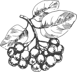 Иллюстрация к книге — Большая энциклопедия садовода-огородника от А до Я [_13.jpg]