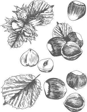 Иллюстрация к книге — Большая энциклопедия садовода-огородника от А до Я [_15.jpg]