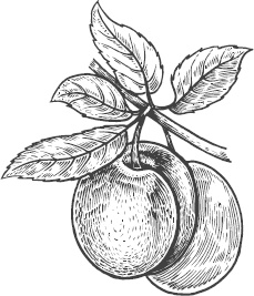 Иллюстрация к книге — Большая энциклопедия садовода-огородника от А до Я [_21.jpg]