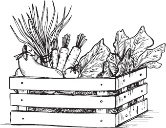 Иллюстрация к книге — Большая энциклопедия садовода-огородника от А до Я [_29.jpg]