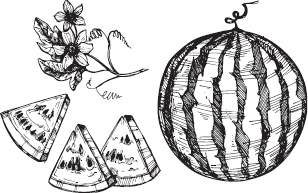 Иллюстрация к книге — Большая энциклопедия садовода-огородника от А до Я [_31.jpg]
