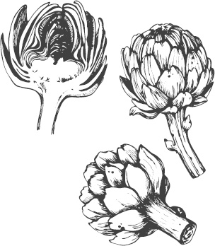 Иллюстрация к книге — Большая энциклопедия садовода-огородника от А до Я [_32.jpg]