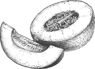 Иллюстрация к книге — Большая энциклопедия садовода-огородника от А до Я [_39.jpg]