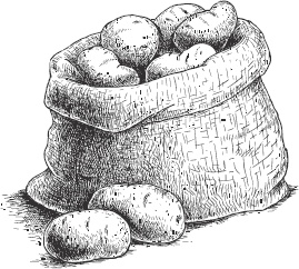 Иллюстрация к книге — Большая энциклопедия садовода-огородника от А до Я [_42.jpg]