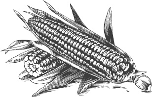 Иллюстрация к книге — Большая энциклопедия садовода-огородника от А до Я [_44.jpg]