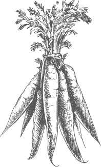 Иллюстрация к книге — Большая энциклопедия садовода-огородника от А до Я [_46.jpg]