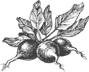 Иллюстрация к книге — Большая энциклопедия садовода-огородника от А до Я [_54.jpg]