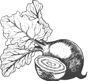 Иллюстрация к книге — Большая энциклопедия садовода-огородника от А до Я [_57.jpg]