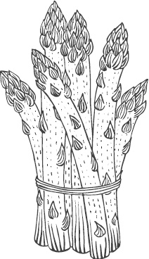 Иллюстрация к книге — Большая энциклопедия садовода-огородника от А до Я [_60.jpg]